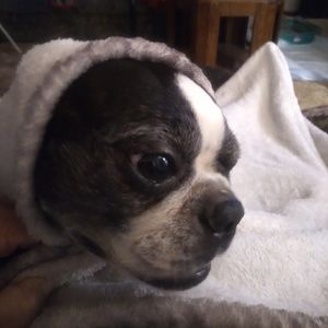 Meet your Posher, Connie